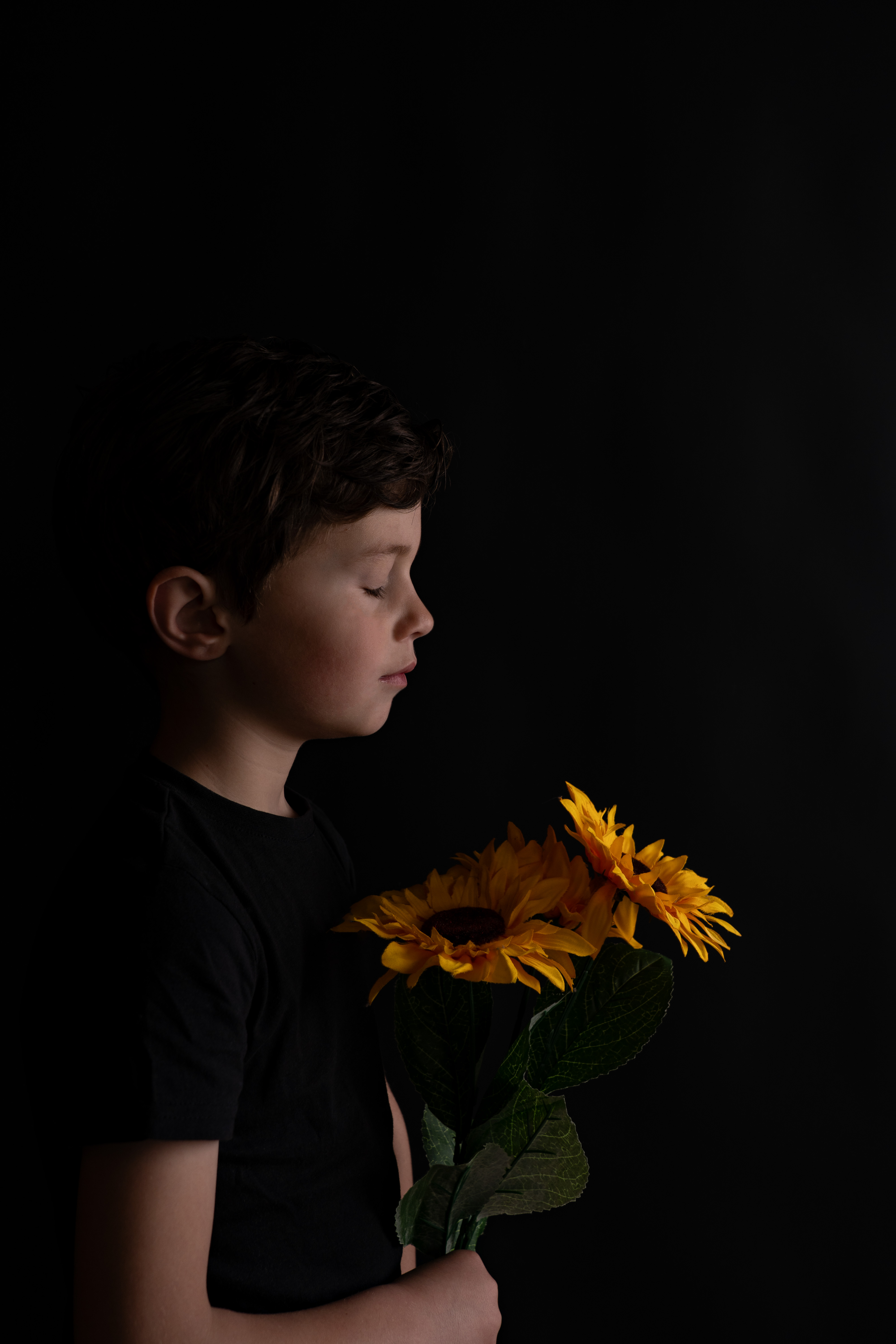 studio4 image Studio Lowal Photographie