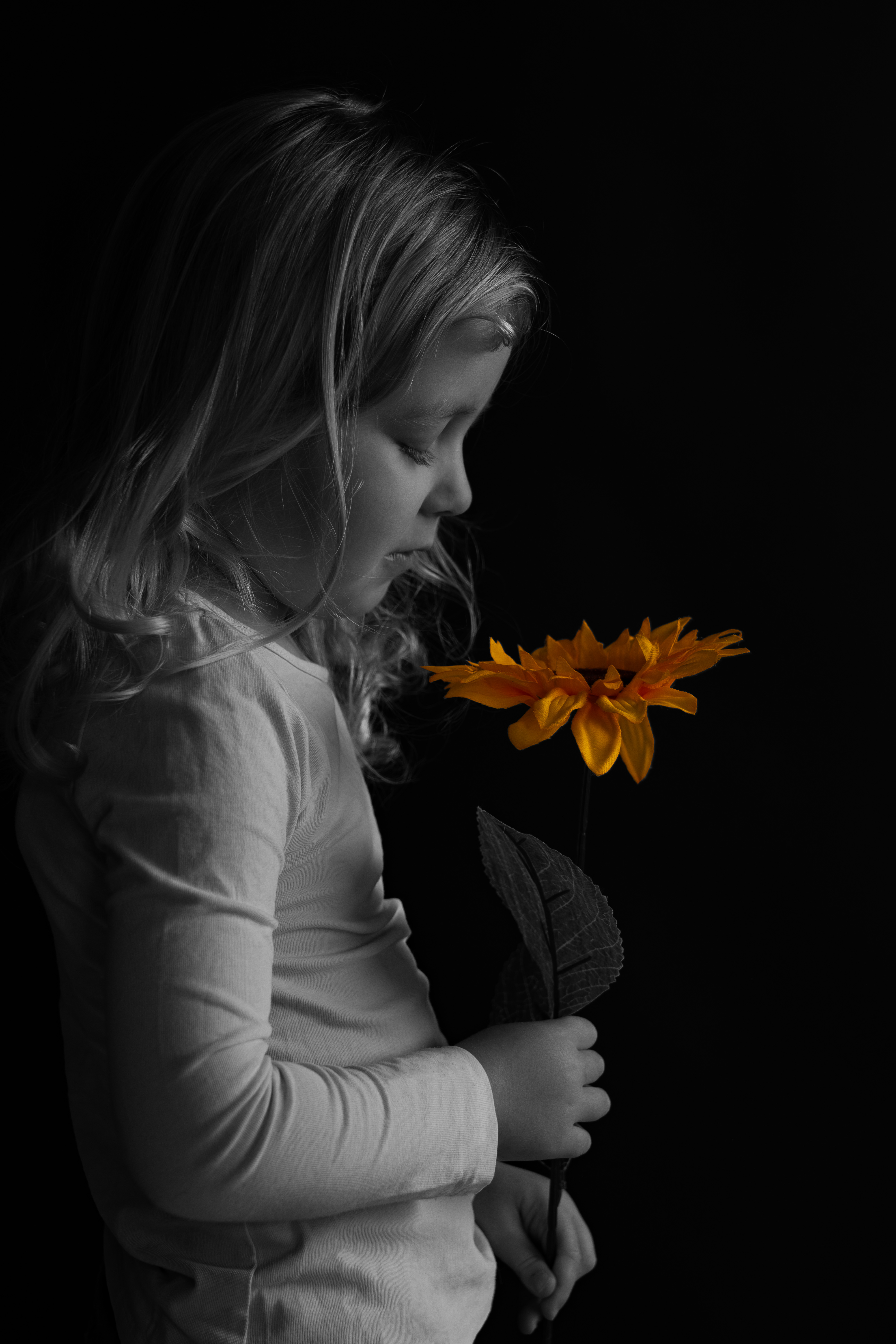 studio8 image Studio Lowal Photographie